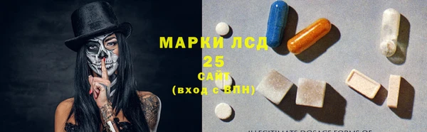твердый Абаза