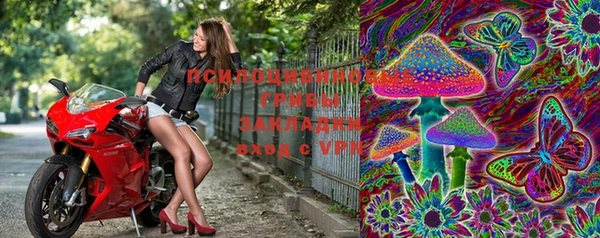 кокс Абинск