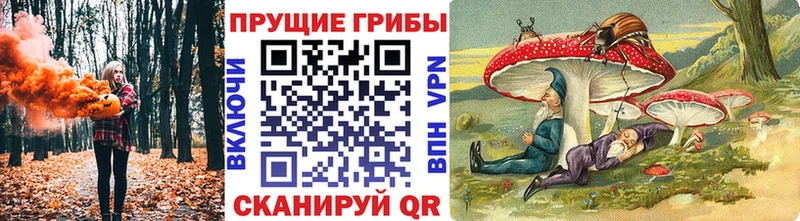 Галлюциногенные грибы прущие грибы  ссылка на мегу ссылка  Холм 